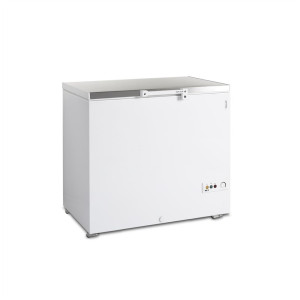 Congélateur Coffre à Glace avec Couvercle en Inox - 273 L