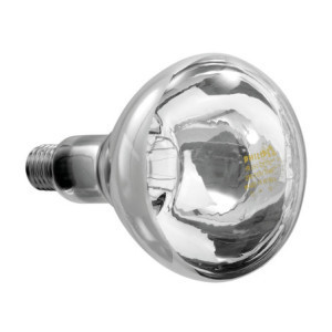 Lampe Infrarouge