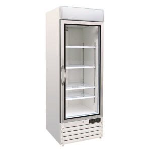 Armoire Réfrigérée Négative à 1 Porte Vitrée - 412 L
