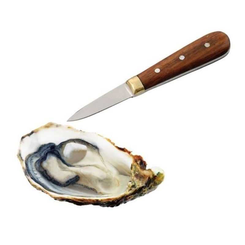Couteau à huîtres Crapaud qualité Française pour ouvrir de vos huîtres